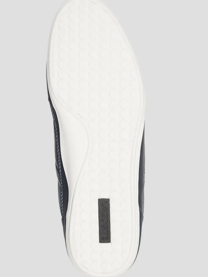 Sneakers|Casual Shoes-Lacoste Chaymon Leather Lace-To-Toe Sneakers Black