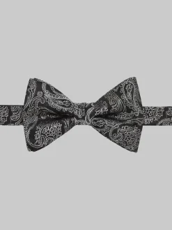 Formal Accessories|Bow Ties-Egara Party Paisley Boxed Bow Tie Black