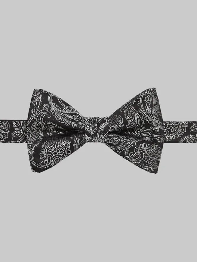 Formal Accessories|Bow Ties-Egara Party Paisley Boxed Bow Tie Black